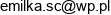 1 P P H U Emilka S C Marta Cieslak Zajac Zbigniew Cieslak Email address
