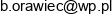 Bronislaw Orawiec Adres e-mail