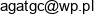 Grzegorz Cichon P H U Kamieniarstwo Agat Grzegorz Cichon Email address