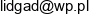 Pro Art Project Email address