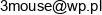 3mouse Artur Mroczkowski Email address