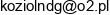 Przedsiebiorstwo Handlowo Uslugowe Karol Kozlowski Email address