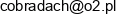 Cobradach Gabriel Turski Email address