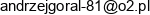 G L Security Andrzej Goral Adres e-mail