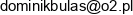 Firma Handlowo Uslugowo Produkcyjna Db Auto Dominik Bulas Email address