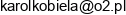 Biuro Projektow Ekspertyz I Nadzorow Mostowych Karol Kobiela Email address