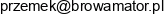 1 Motokolektyw Uslugi Rozne Przemyslaw Czarnik 2 Przemyslaw Czarnik Wspolnik Spolki Cywilnej Browamator Email address