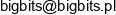 Bigbits Slawomir Holodniuk Email address