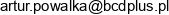 Business Consulting Development Artur Powalka Email address
