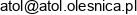 Azalis Conseil Lopata Groupe Email 1