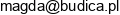 Budica Email address