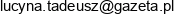 Lucyna Tadeusz Biuro Inzynierii Ladowej Analizer Email address