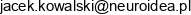 Neuroidea Email 1