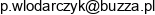 Buzza Pawel Wlodarczyk Email address