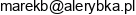 B H Idea Email 1