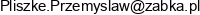 Przedsiebiorstwo Produkcyjno Handlowo Uslugowe Inwest Bud Przemyslaw Pliszke Email address