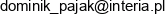 Przedsiebiorstwo Uslug Geodezyjnych I Handlu Geo Tools Dominik Pajak Email address