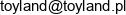 Przedsiebiorstwo Produkcyjno Uslugowo Handlowe Toyland Jadowski Ryszard Email address