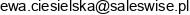 Saleswise Email address