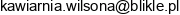 A Blikle Email 1