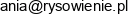Rysowienie Pl W Likwidacji Adres e-mail