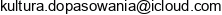 Dr Rafal Dziurla Instytut Kultury Dopasowania Wiekszosci Email address