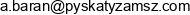 Pyskaty Zamsz Aleksandra Baran Pyskaty Zamsz Aleksandra I Lukasz Baran Spolka Cywilna Email address