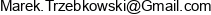 Tmi Service Marek Trzebkowski Email address