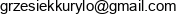 Data Invest Grzegorz Kurylo Email address