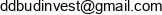 D D Budinvest W Likwidacji Email address