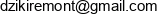 Przedsiebiorstwo Handlowo Uslugowe Dziki Email address