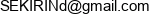 Danylo Sekirin Email address