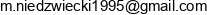 Michal Niedzwiecki Przedsiebiorstwo Techniczno Elektryczne Email address