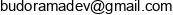 Budorama Development Email 1