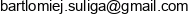 Bnet Bartlomiej Suliga Email address