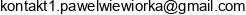 Pawel Wiewiorka Trener Personalny Adres e-mail