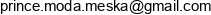 Prince Sp Z O O Email address