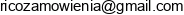 Rico Partner Adres e-mail