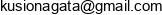 L C Printing Group Agata Kusion Email address