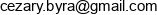 Top Bridge Email address