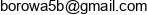 Fensoft Mateusz Borowski Email address
