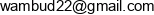 Wambud Email address