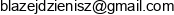 Blazej Dzienisz Email address