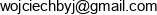 Wojciech Byj Bs Consulting Email address