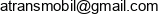Viktor Andriushkevich Atransmobil Email address