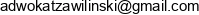 Kancelaria Adwokacka Adwokat Damian Zawilinski Email address Kancelaria Adwokacka Adwokat Damian Zawilinski Email address