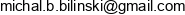 Michal Bilinski Konsultant Net Email address