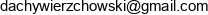 Dachy Wierzchowski Konrad Wierzchowski Email address