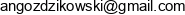 Andrzej Gozdzikowski Consulting Services Adres e-mail