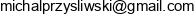 P U H Michal Przysliwski Email address